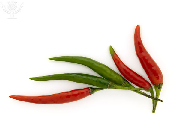 hot pepper seed